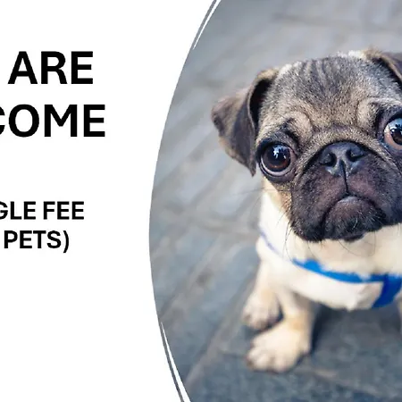 26 Casa Dos Miudos - Alfarim * Сесимбра