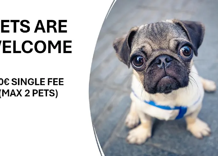 26 Casa Dos Miudos - Alfarim * 세심브라